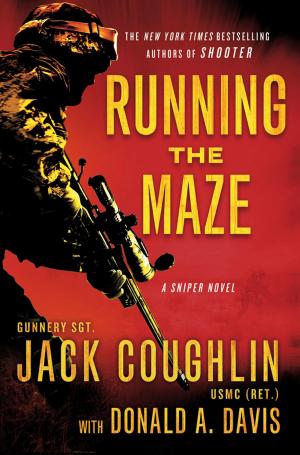 Cover of the book Running the Maze by Ashley Antoinette
