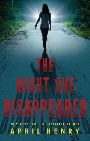 Book cover of The Night She Disappeared