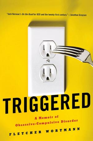 Cover of the book Triggered by Jan Pottker