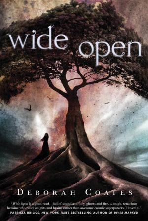 Cover of the book Wide Open by Frank Morin