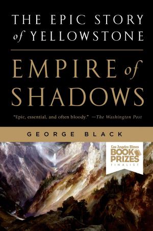 Cover of the book Empire of Shadows by Chris Stewart