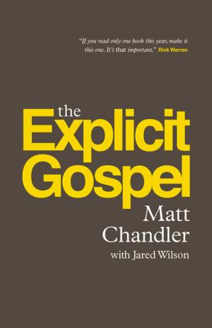 Cover of the book The Explicit Gospel by R. Kent Hughes