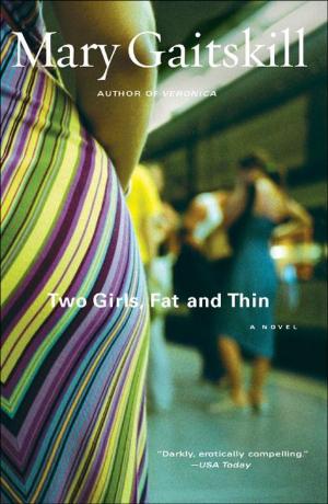 Cover of the book Two Girls, Fat and Thin by David Denby