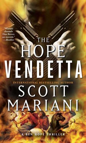 Cover of the book The Hope Vendetta by Jo Berry