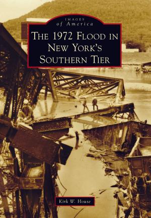 Cover of the book The 1972 Flood in New York's Southern Tier by George R. Zepp