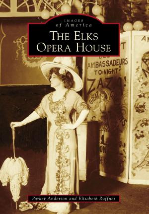 Book cover of The Elks Opera House