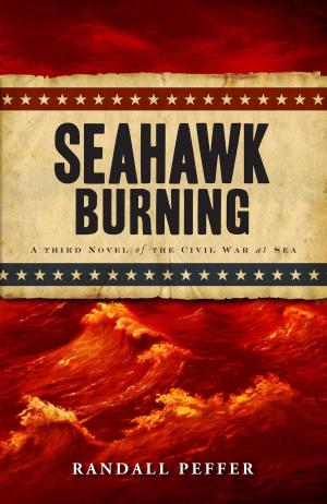 Cover of the book Seahawk Burning by Ian Halperin