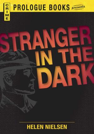 Cover of the book Stranger in the Dark by Louis Trimble