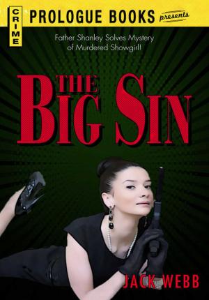 Cover of the book The Big Sin by Marlene Mitchell