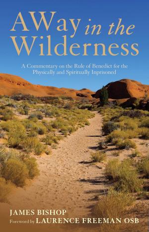 Cover of the book A Way in the Wilderness by Gary Edmundson