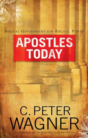 Cover of the book Apostles Today by Elizabeth Newman