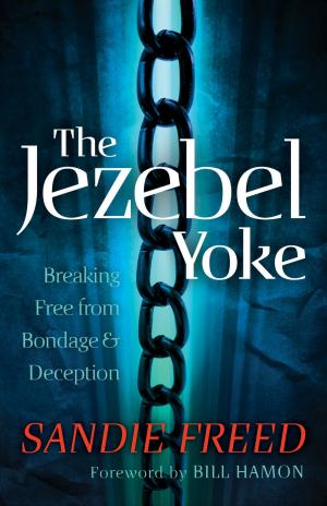 Book cover of Jezebel Yoke, The