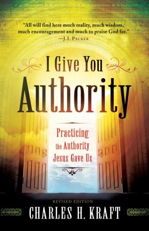 Cover of the book I Give You Authority by Olivia Newport