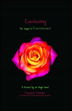 Cover of the book Everlasting by Randy Ribay