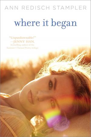 Cover of the book Where It Began by John Darr