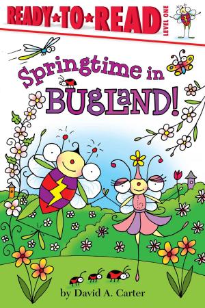 Cover of Springtime in Bugland!