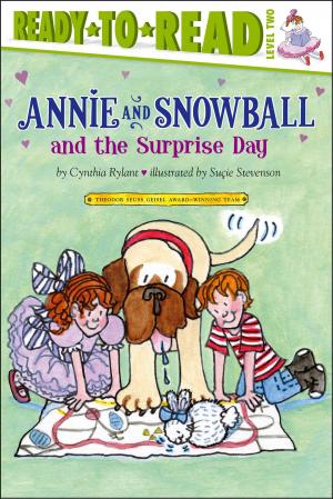 Cover of the book Annie and Snowball and the Surprise Day by Becky Friedman