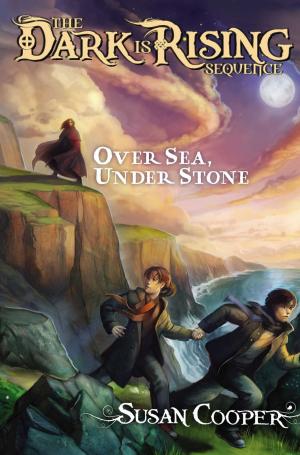 Book cover of Over Sea, Under Stone