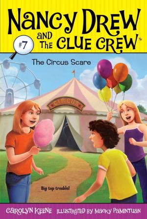 Cover of the book The Circus Scare by Barbara Dee
