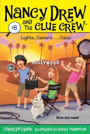 Book cover of Lights, Camera . . . Cats!
