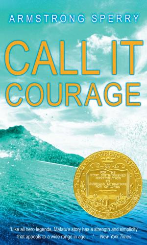 Cover of the book Call It Courage by Margaret Peterson Haddix