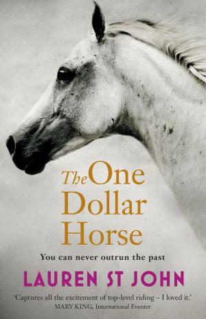 Cover of the book The One Dollar Horse by Bonnie Marlewski-Probert