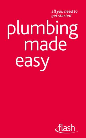 bigCover of the book Plumbing Made Easy: Flash by 