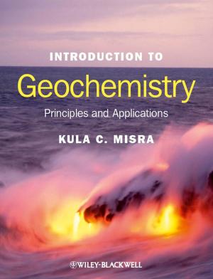 Cover of the book Introduction to Geochemistry by Birgit Nitzsche, Karsten Rose