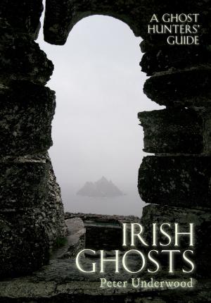 Book cover of Irish Ghosts