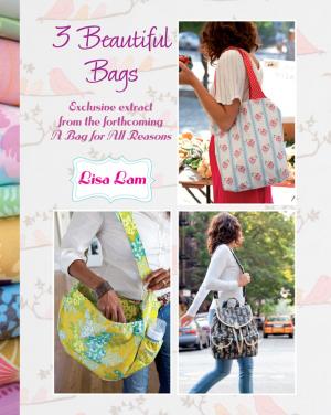 Cover of the book 3 Beautiful Bags by Nancy Zieman