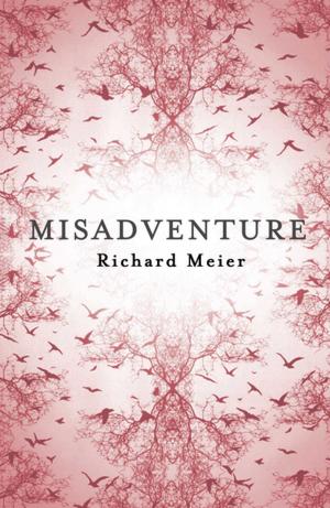 Cover of the book Misadventure by Michaela Morgan
