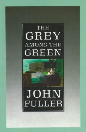 Cover of the book The Grey Among The Green by Paige Toon