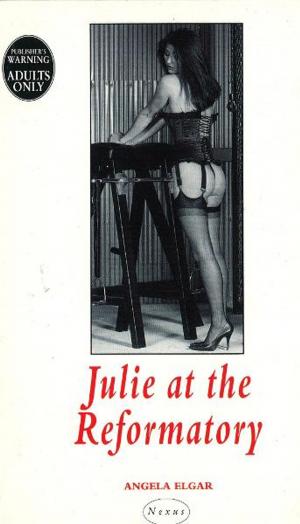 Cover of the book Julie At The Reformatory by George Courtauld
