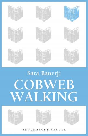 Book cover of Cobweb Walking