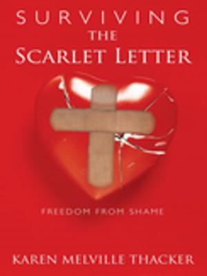 Cover of the book Surviving the Scarlet Letter by B.R. Erdman