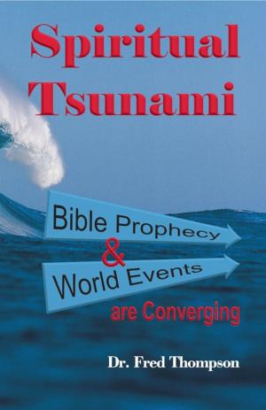 Cover of the book Spiritual Tsunami by N. Todd Riggs