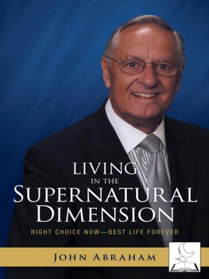 Cover of the book Living in the Supernatural Dimension by Brian Rhodes