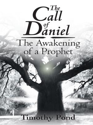 Cover of the book The Call of Daniel by Twila Christner