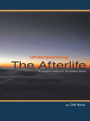 Cover of the book Understanding the Afterlife by Mark May