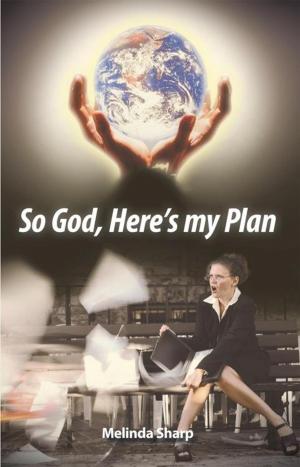 Cover of the book So God, Here's My Plan by Robert K. Stevenson