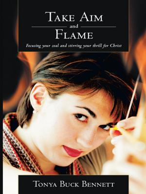 Cover of the book Take Aim and Flame by Tara N. Trass