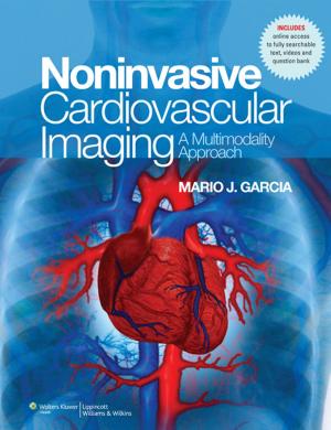 Cover of NonInvasive Cardiovascular Imaging: A Multimodality Approach