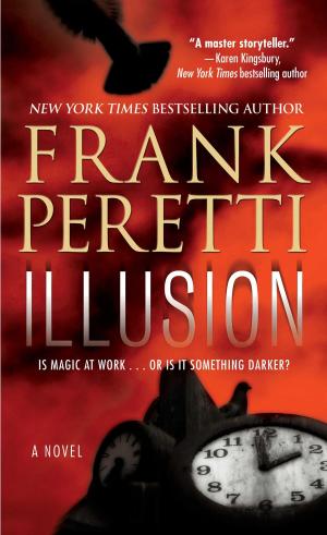 Cover of the book Illusion by Bruce Buff
