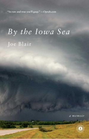 Cover of the book By the Iowa Sea by Kate Kelly, Bruce Judson