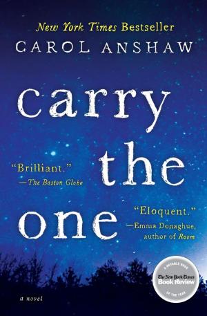 Cover of the book Carry the One by Thomas R Verny, M.D.