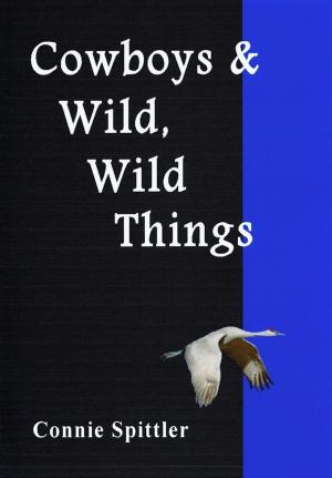 Cover of the book Cowboys, Campfires & Wild, Wild Things by Tom Davis III