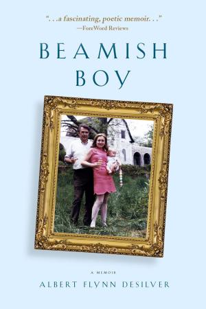Book cover of Beamish Boy (I Am Not My Story): A Memoir of Recovery & Awakening