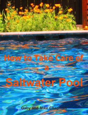 Book cover of How to Take Care of a Saltwater Pool