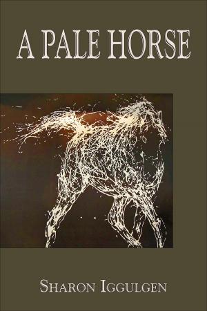 bigCover of the book A Pale Horse by 
