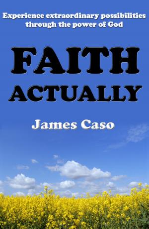 Book cover of Faith Actually